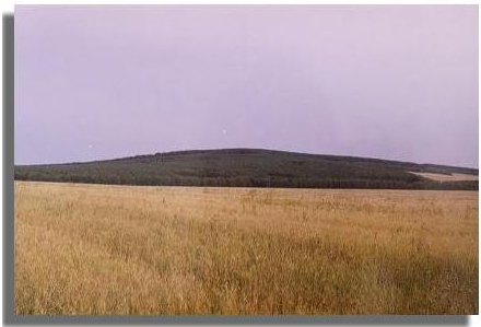 Панорама горы Извоз.